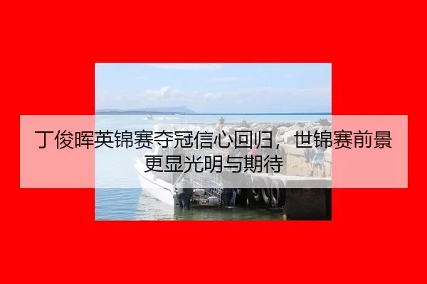 ding-jun-hui-ying-jin-sai-duo-guan-xin-xin-hui-gui-shi-jin-sai-qian-jing-geng-xian-guang-ming-yu-qi-dai-3-919.jpg