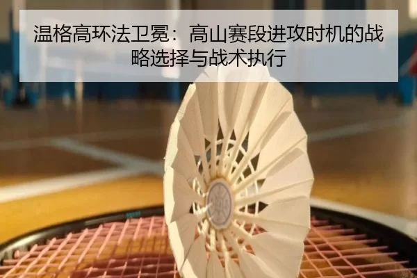 wen-ge-gao-huan-fa-wei-mian-gao-shan-sai-duan-jin-gong-shi-ji-de-zhan-lve-xuan-ze-yu-zhan-shu-zhi-xing-3-226.jpg