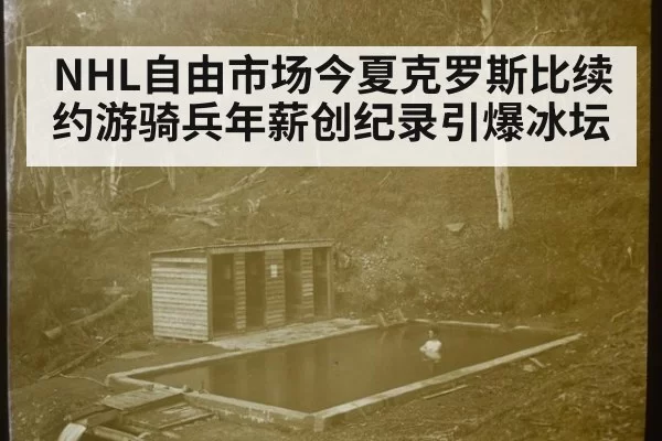 NHL自由市场今夏克罗斯比续约游骑兵年薪创纪录引爆冰坛